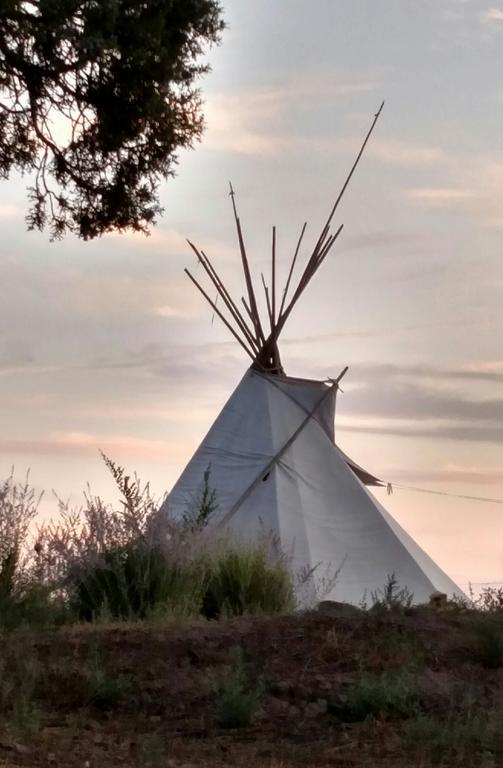 Grizzly Roadhouse Bed And Breakfast Cortez Buitenkant foto