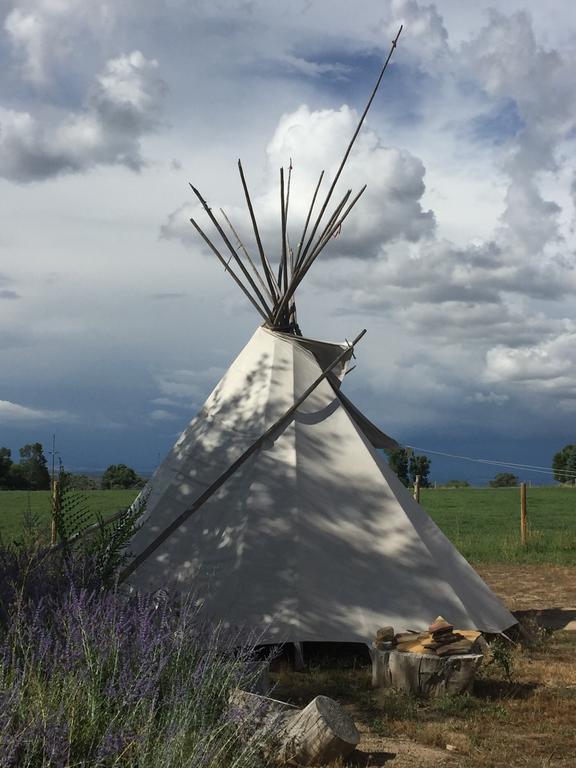 Grizzly Roadhouse Bed And Breakfast Cortez Buitenkant foto